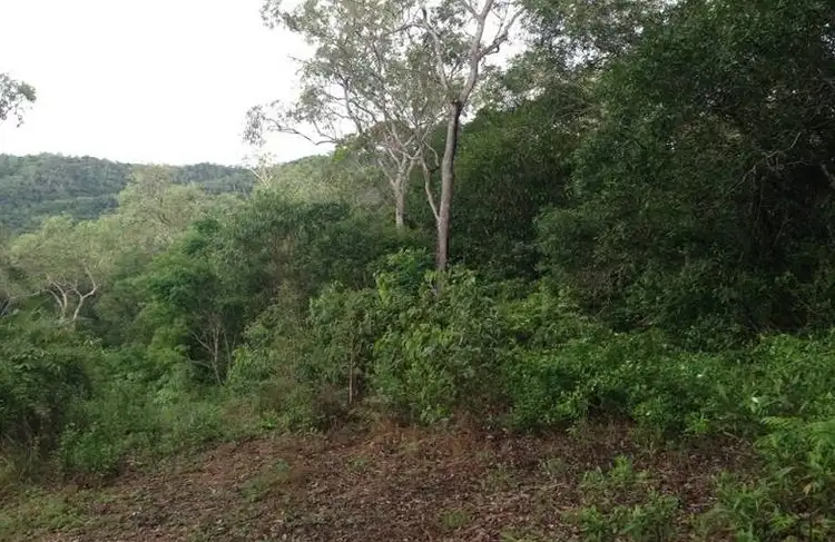 Third view of Homely land listing, 74 Spring Creek Road, Mowbray QLD 4877