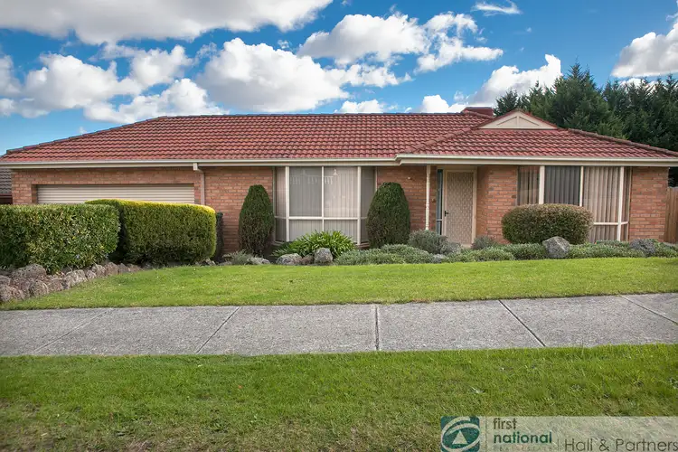 Main view of Homely house listing, 11 Pinto Close, Endeavour Hills VIC 3802