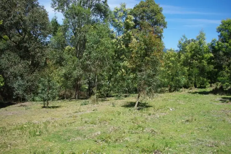 Third view of Homely rural property listing, LOT 1 County Boundary Road, Cobargo NSW 2550