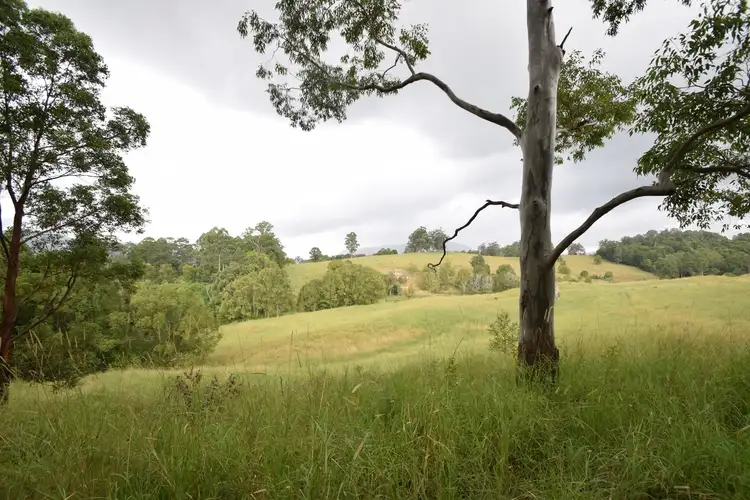 Third view of Homely rural property listing, 29 Blade Road, Nimbin NSW 2480
