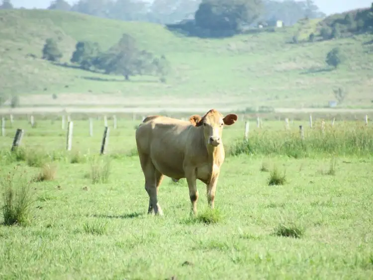 Main view of Homely rural property listing, LOT 12/171 Northcotts Road, South Gundurimba NSW 2480