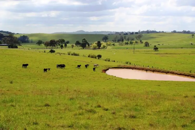 Fourth view of Homely rural property listing, 235 Finns Road, Menangle NSW 2568