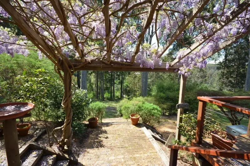 Main view of Homely rural property listing, 5 Rikkara Avenue, Barragga Bay NSW 2546