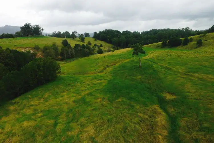 Fifth view of Homely rural property listing, 29 Blade Road, Nimbin NSW 2480