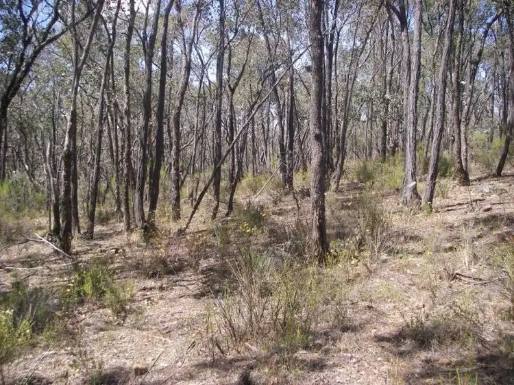 Fifth view of Homely land listing, 148 Vaughan - Chewton Road, Fryerstown VIC 3451