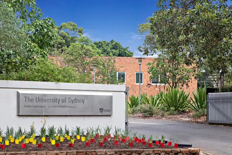 Third view of Homely house listing, 53 East Street, Lidcombe NSW 2141