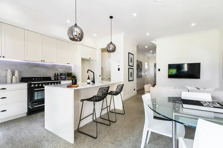55 Perry Street, Lilyfield NSW 2040