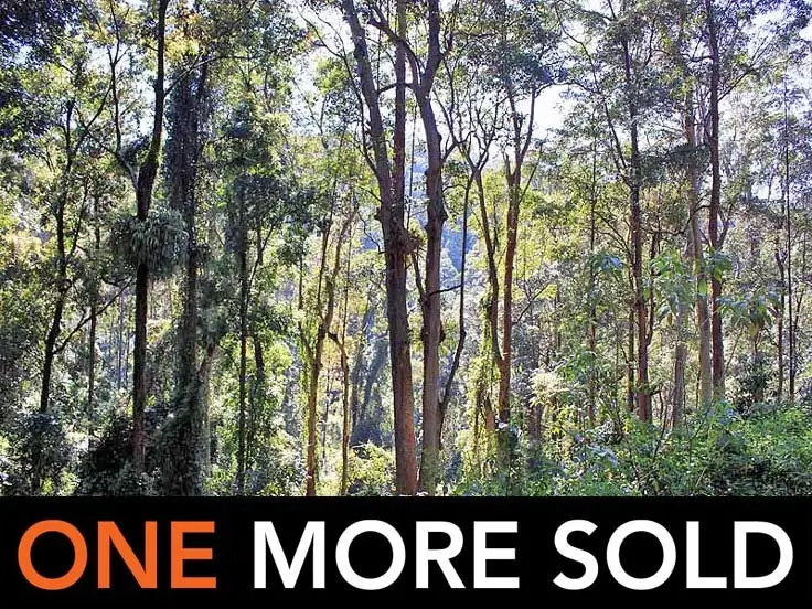 Lot 20 Toorumbee Road, Moparrabah NSW 2440