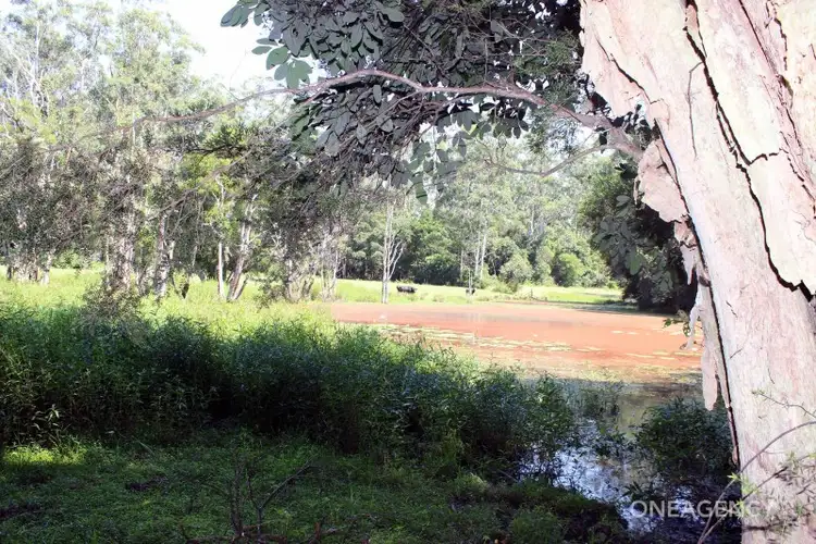 Sixth view of Homely rural property listing, LOT 29 Chain O Ponds Road, Collombatti NSW 2440