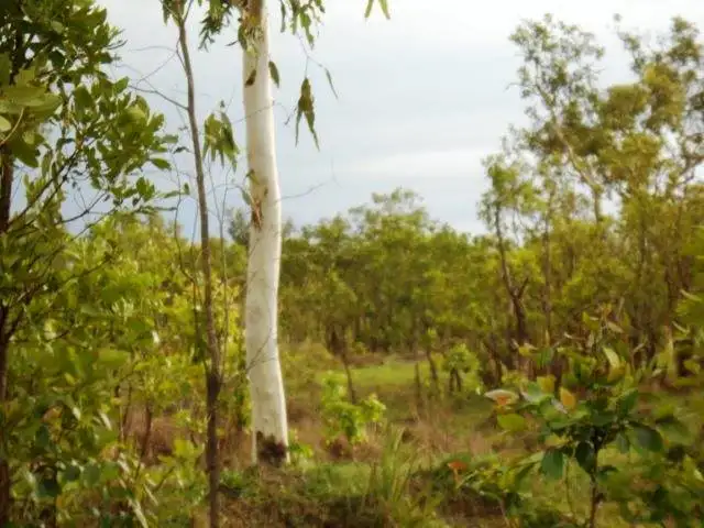 Second view of Homely land listing, Address available on request