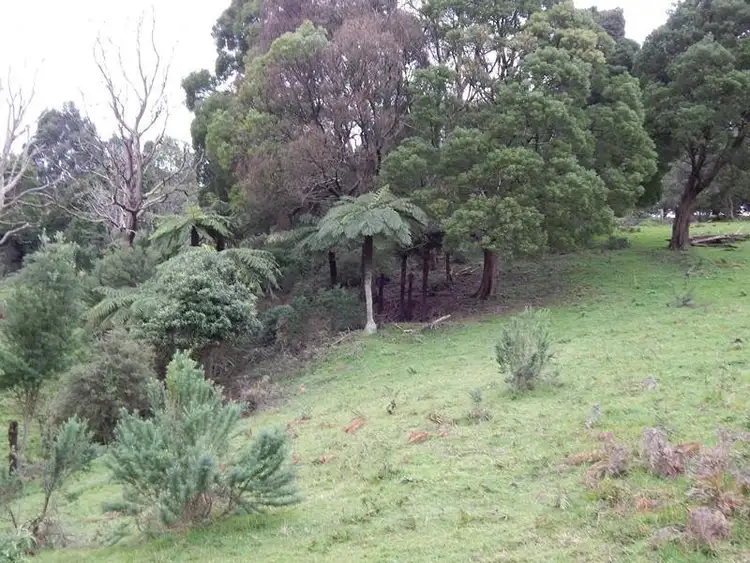 Fourth view of Homely rural property listing, 90 O' Connors Road North, Toora North VIC 3962