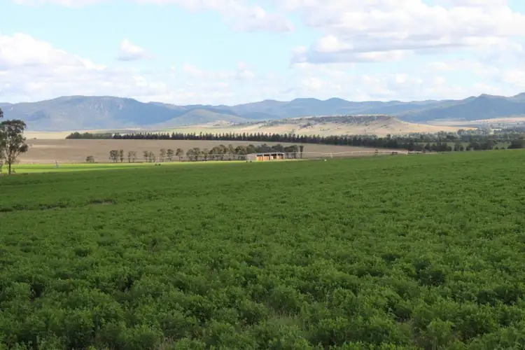 Fifth view of Homely rural property listing, 463 Dalswinton Road, Denman NSW 2328