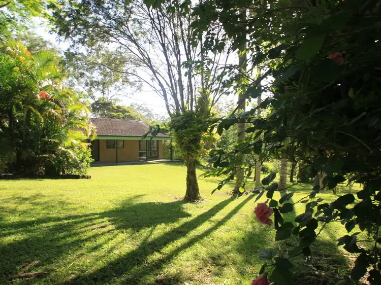 Main view of Homely rural property listing, 25 Kirkland Road, Nimbin NSW 2480