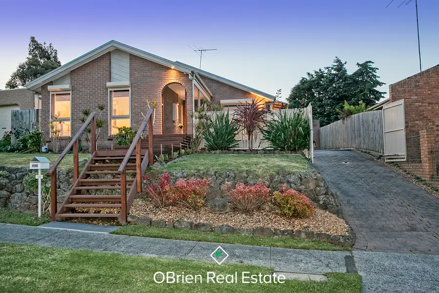 Main view of Homely house listing, 19 Denton Drive, Endeavour Hills VIC 3802