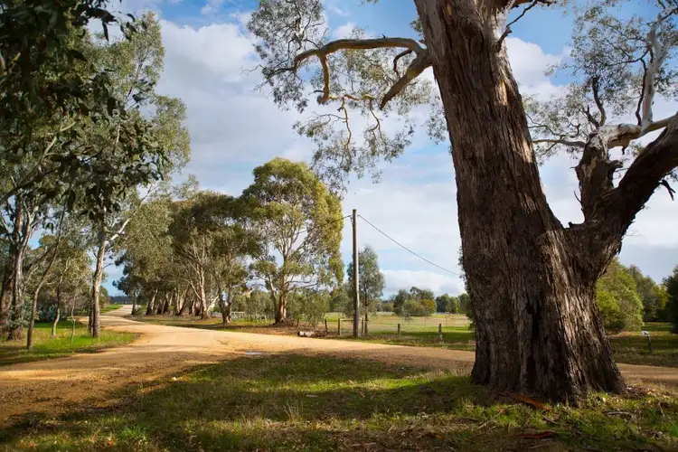 Sixth view of Homely land listing, 9 Mc Nabb Road, Newstead VIC 3462