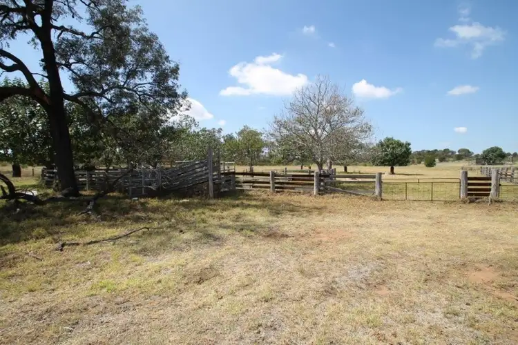 Fifth view of Homely rural property listing, 885 Boomley Road, Dunedoo NSW 2844