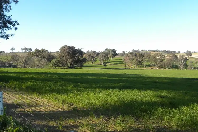Seventh view of Homely land listing, 976 Forbes Lane, Young NSW 2594