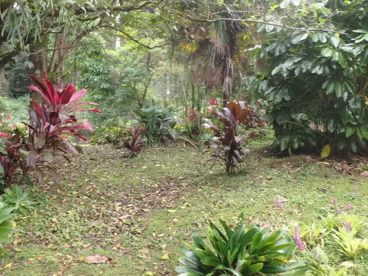 Fourth view of Homely rural property listing, LOT 27 Symonds Road, Blue Knob NSW 2480