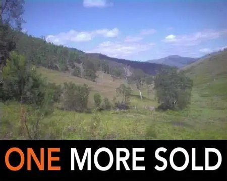 370 Smiths Creek Road, Lower Creek NSW 2440