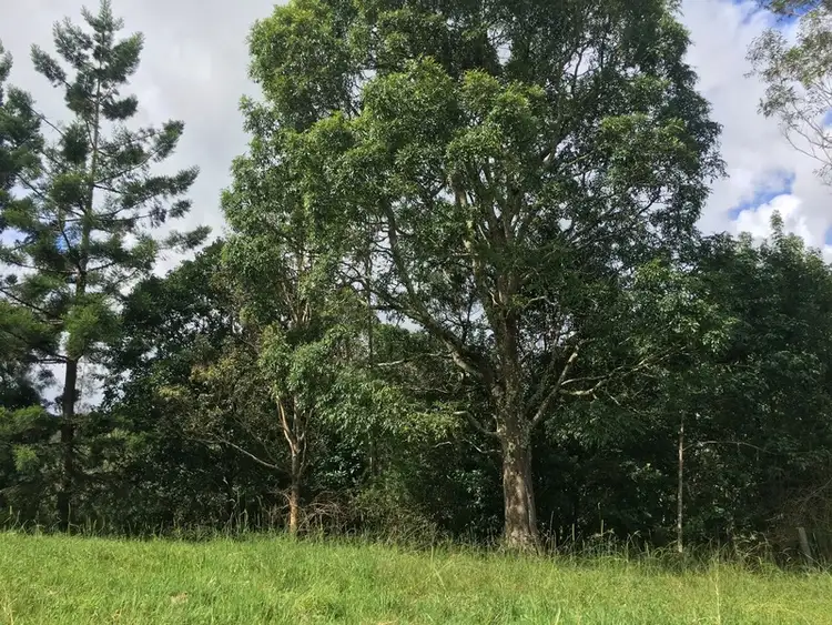 Third view of Homely land listing, 80 Cecil Street, Nimbin NSW 2480