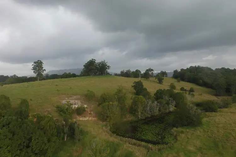 Seventh view of Homely rural property listing, 29 Blade Road, Nimbin NSW 2480