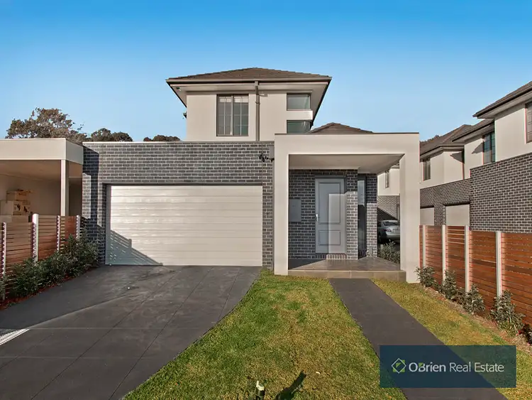 113 Benkel Avenue, Cheltenham VIC 3192