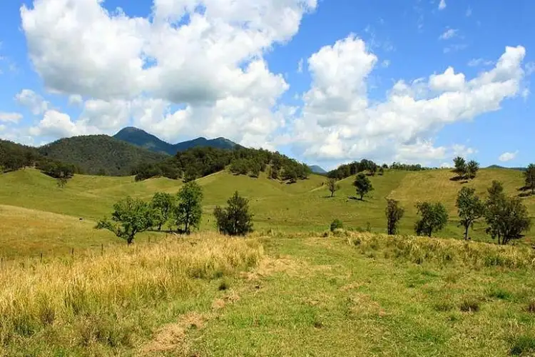 Sixth view of Homely rural property listing, 566 Fifes Creek Road, Bellbrook NSW 2440