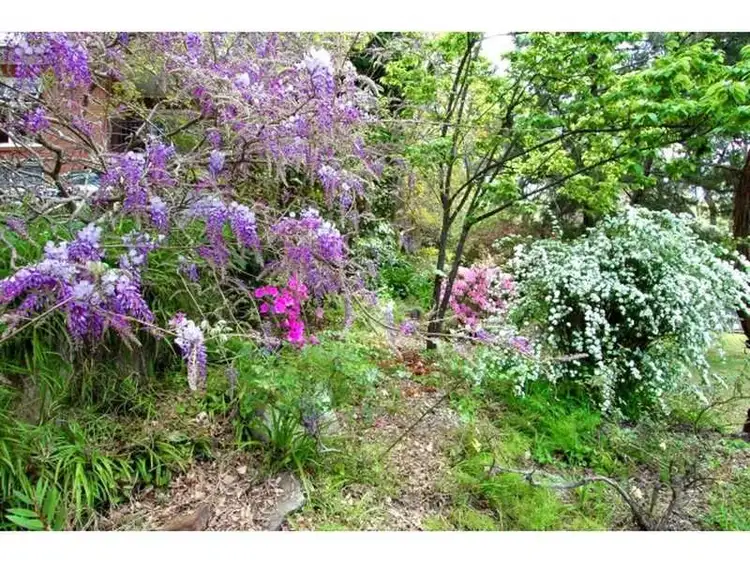 Seventh view of Homely house listing, 23 Robin Avenue, Turramurra NSW 2074