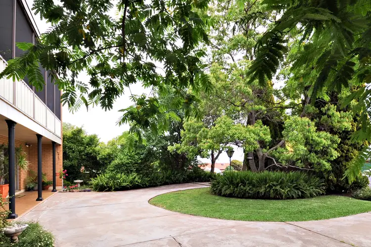 Second view of Homely house listing, 245 Wingewarra Street, Dubbo NSW 2830