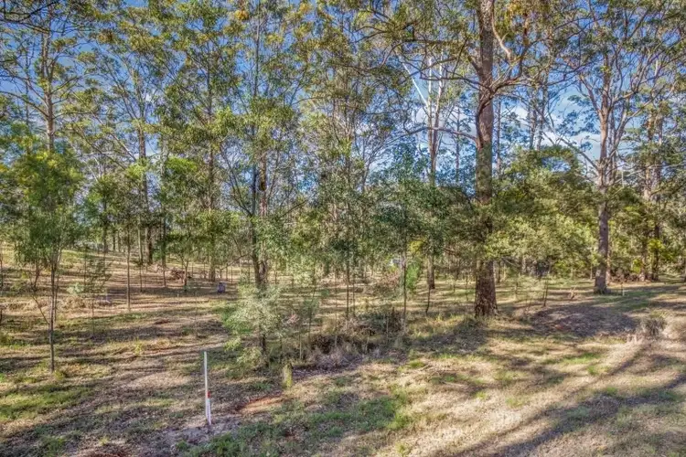 Third view of Homely land listing, 16 Forest Drive, Hampton QLD 4352