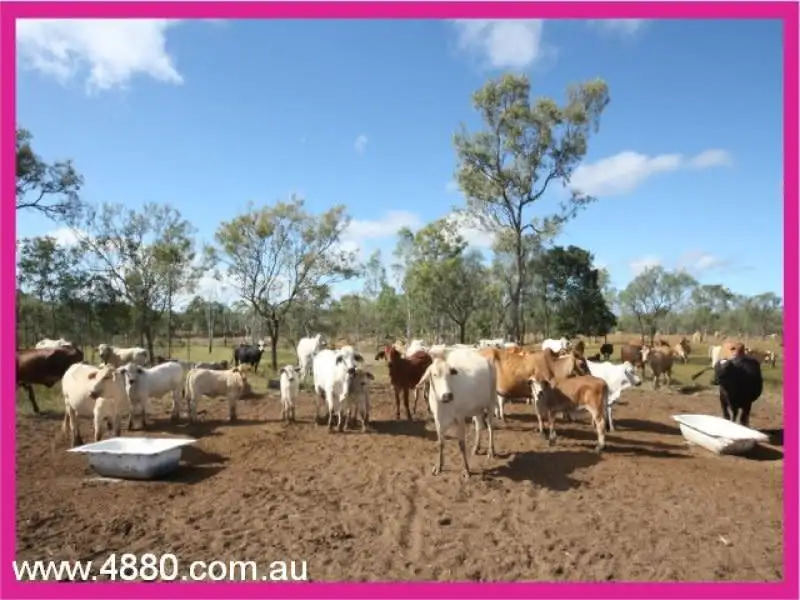 Main view of Homely rural property listing, Address available on request