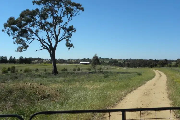 Sixth view of Homely rural property listing, 42 Woodlands Road Road, Young NSW 2594