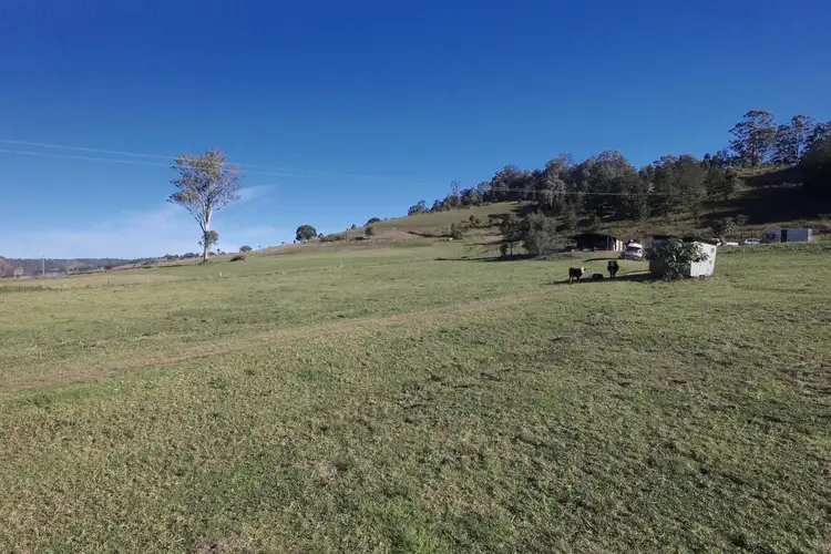 Fourth view of Homely rural property listing, 463 Jiggi Road, Goolmangar NSW 2480