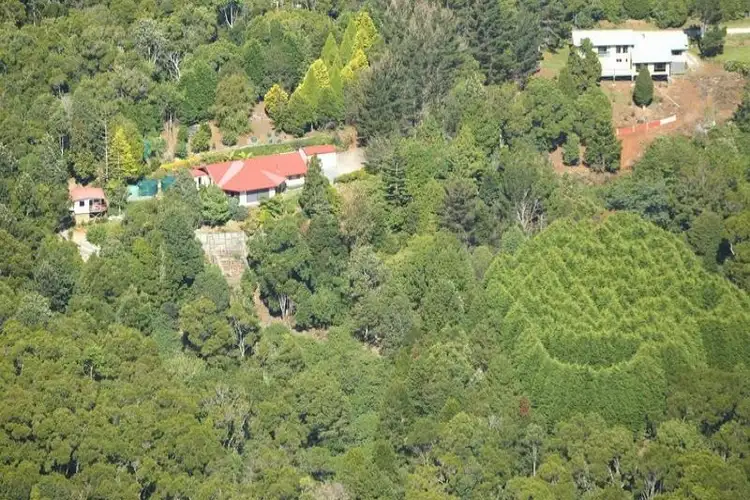 Sixth view of Homely house listing, 14/20 Bandicoot Lane, Springbrook QLD 4213