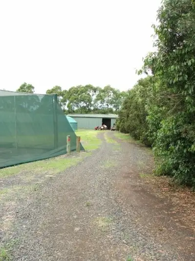 Sixth view of Homely rural property listing, 15 Droneys Bridge Road, Fairy Hill NSW 2470