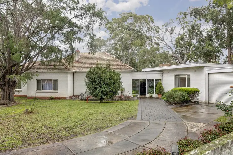 Main view of Homely house listing, 42 Ferguson Avenue, Myrtle Bank SA 5064