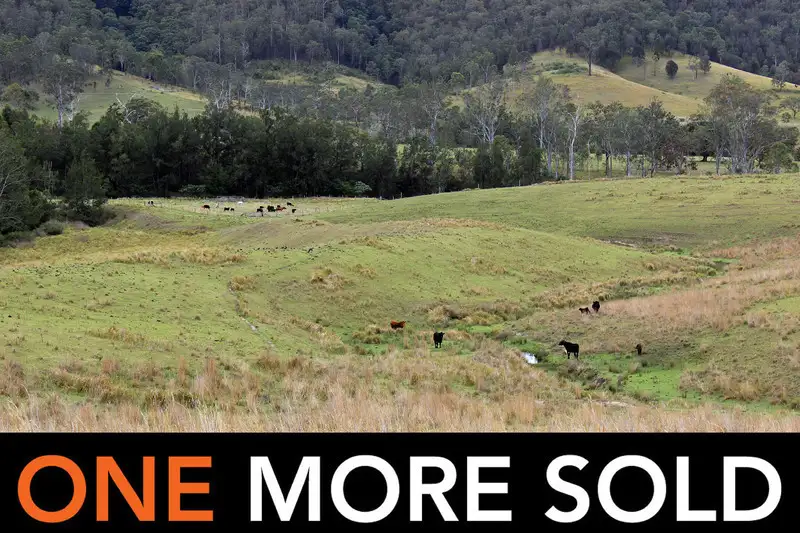 Main view of Homely rural property listing, Lot 3 Carrai Road, Willi Willi NSW 2440