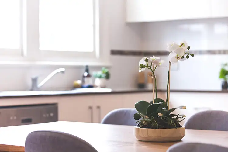 Fifth view of Homely house listing, 218 Christo Road, Waratah West NSW 2298