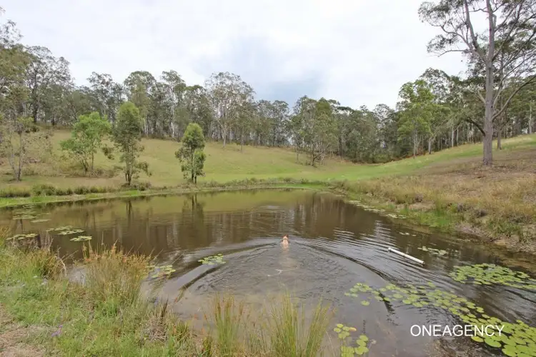 Sixth view of Homely rural property listing, 1162 Willi Willi Road, Temagog NSW 2440