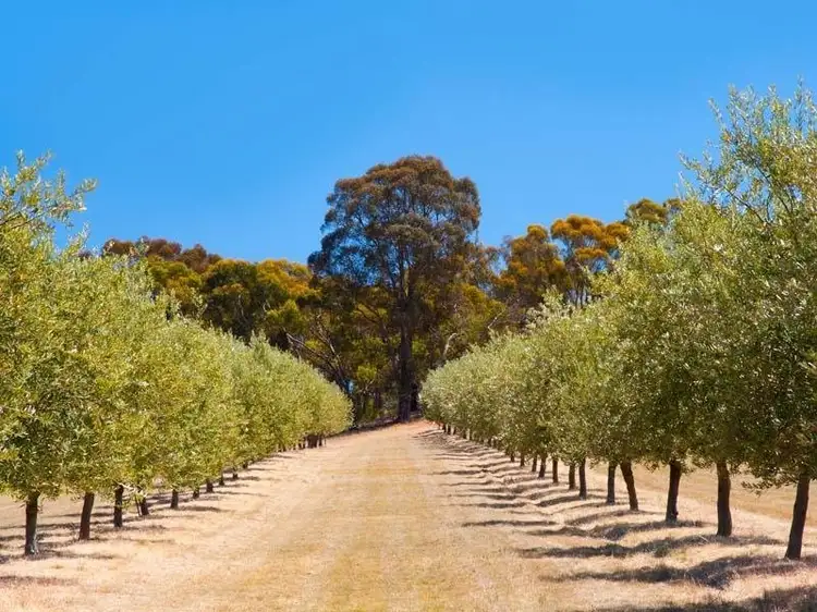 Third view of Homely land listing, Lot 1, 126 Allans Road, Maldon VIC 3463
