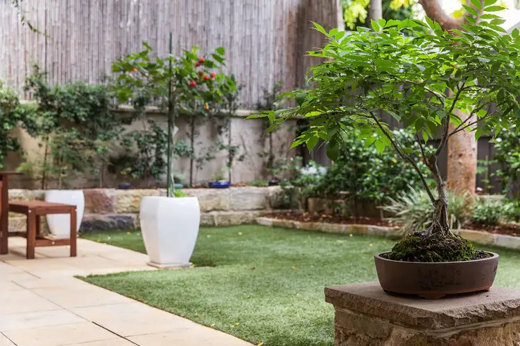 Sixth view of Homely house listing, 17 Valley Street, Balmain NSW 2041