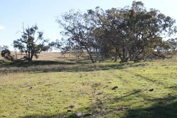 Second view of Homely rural property listing, 850 Hughes Road, Piambong NSW 2850