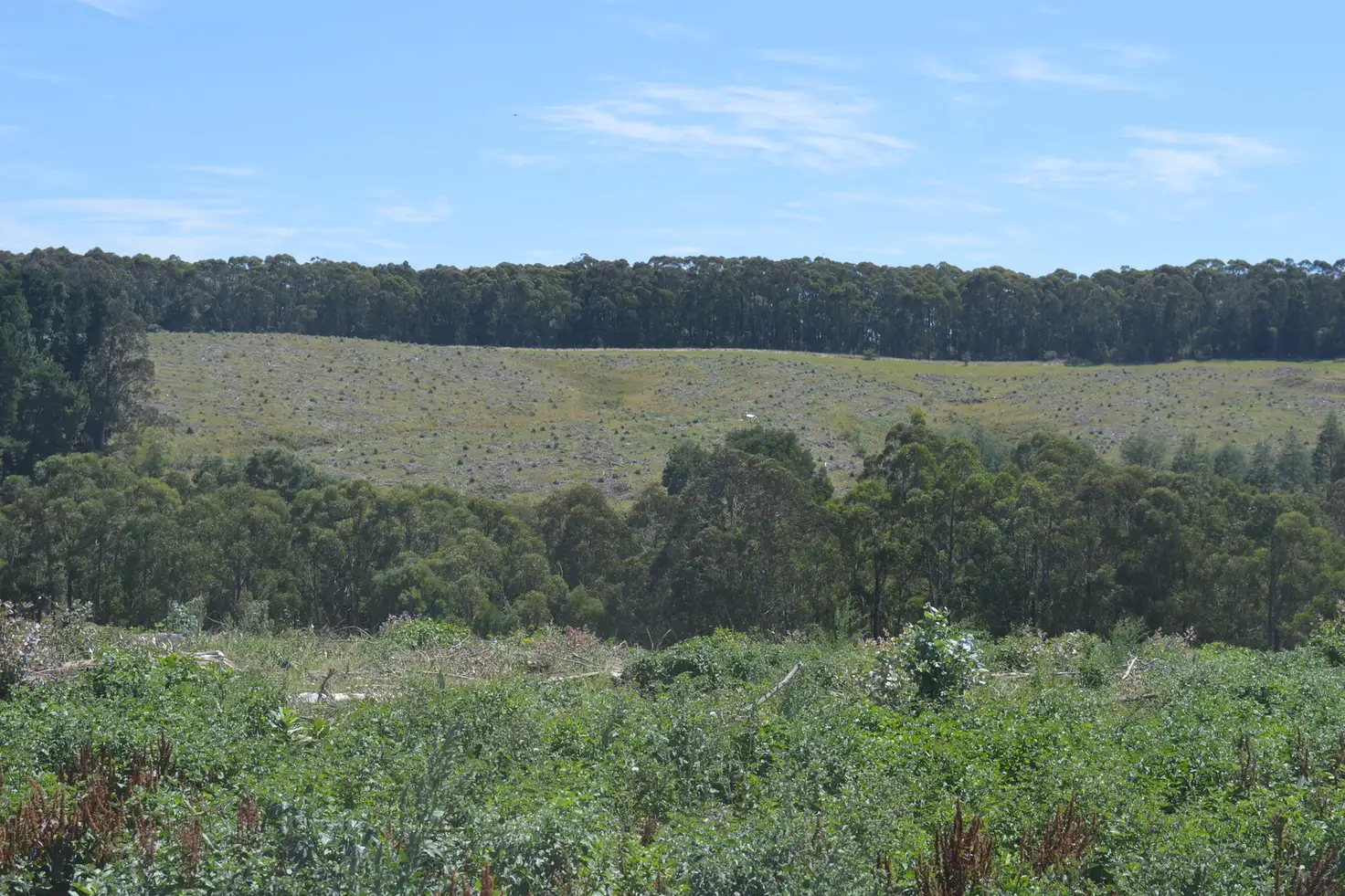 Main view of Homely rural property listing, 370 Manuels Road, Yallourn North VIC 3825