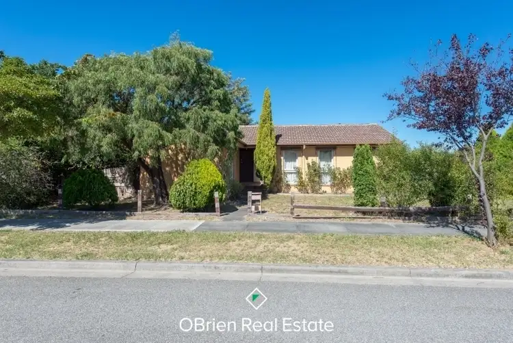 Fifth view of Homely house listing, 21 Bittern Drive, Endeavour Hills VIC 3802