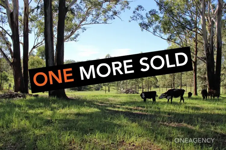 LOT 30 Chain O Ponds Road, Collombatti NSW 2440