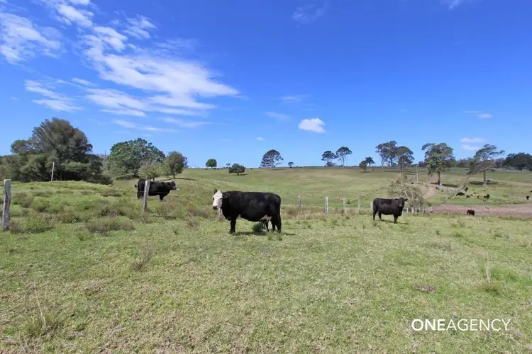 Third view of Homely rural property listing, 73 Oakland Road, Dondingalong NSW 2440