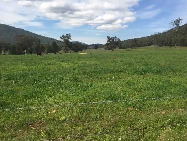 Sixth view of Homely rural property listing, 1778 Piallaway Road, Currabubula NSW 2342