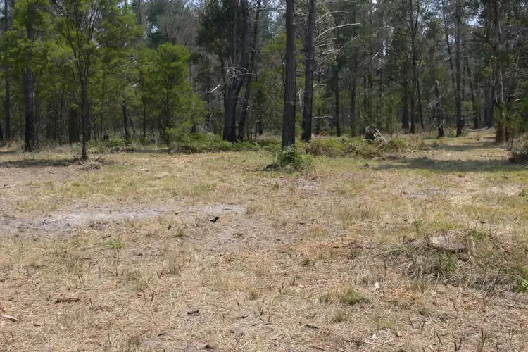 Sixth view of Homely rural property listing, LOT 161 Ironbark Road, Sugarloaf QLD 4380