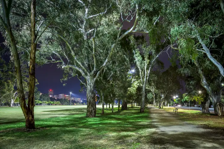 Fourth view of Homely apartment listing, 2/125 MacKinnon Parade, North Adelaide SA 5006