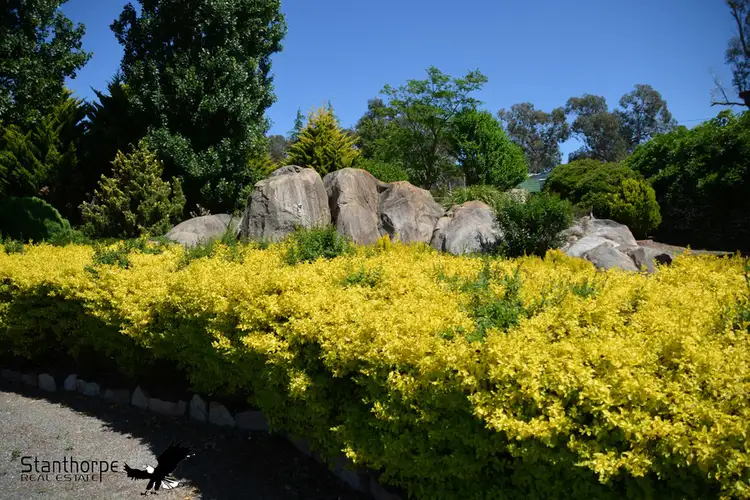 Third view of Homely house listing, 105 Mt Tully Road, Stanthorpe QLD 4380